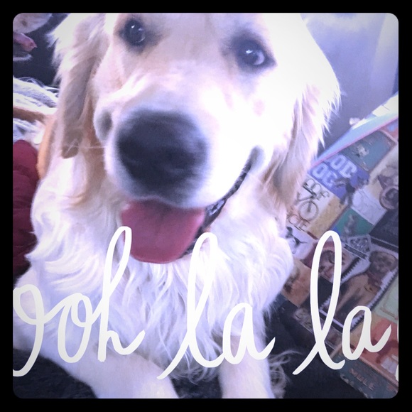 Thanks for stopping by, please leave a comment! - Picture 1 of 1